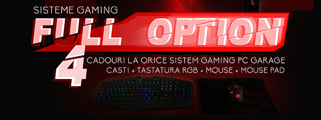 Sisteme Gaming Full Option 2018