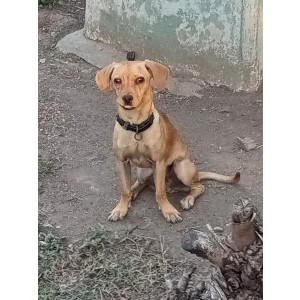 Poza facuta fara zoom cu autofocus on