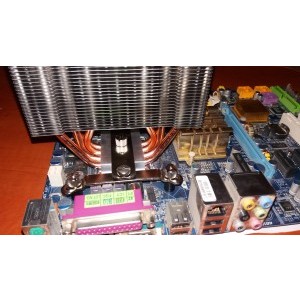 Prindere sk 775