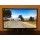 Monitor PG248Q