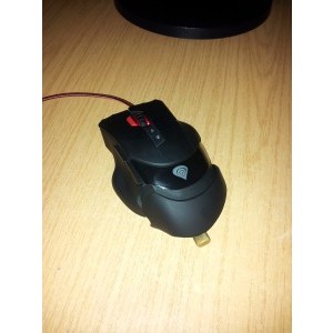 mouse