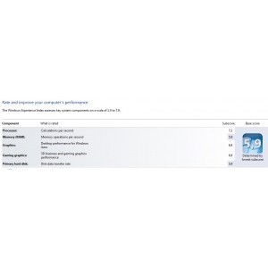 punctaj windows experience index