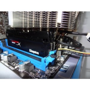 noctua 1