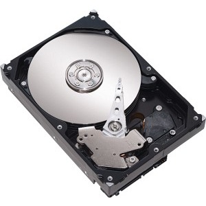 Maxtor 320 GB ATA100 7200 RPM 8MB