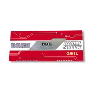 Geil Value 1GB 667 MHz