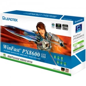 Leadtek WinFast PX8600 GTS TDH 256 MB DDR3 128-bit