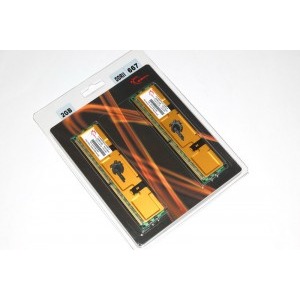 G.Skill 1 GB DDR2 667 MHz CL4 Dual Channel Kit
