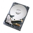 HGST 320 GB SATA-II 7200RPM 16MB DeskStar T7K500