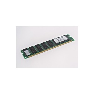 Sycron 256 MB 133 MHz