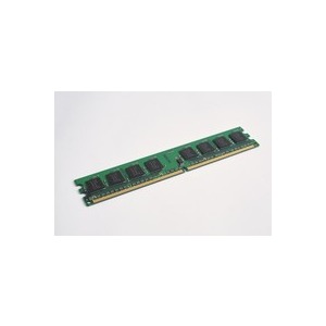 Sycron 1 GB 533 MHz Aeneon Chip