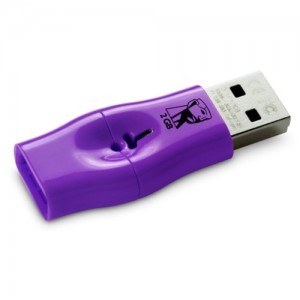 Kingston DataTraveler Mini Fun 2GB
