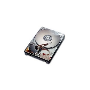 WD 300 GB ATA 100 7200 rpm 8 MB Caviar Special Edition