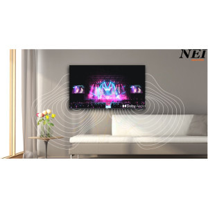 Nei Smart TV 50NE6901 Seria NE6901 127cm negru 4K UHD