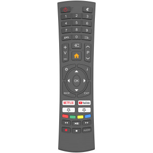 Star-Light Smart TV 24DM6600 Seria DM6600 60cm negru HD Ready