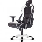 AKRACING ProX Black/White