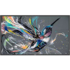 Monitor LED Philips Q-Line 50BDL3511Q 49.5 inch UHD VA 8 ms 60 Hz
