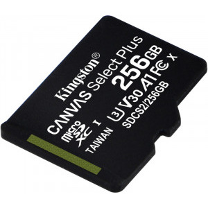 wave Grandpa Somehow Card memorie Kingston Micro SDXC Canvas Select Plus Clasa 10 UHS-I 256GB -  PC Garage