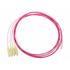 Cablu retea Schrack Pigtail SC, 50/125µm OM4, 2m, Easy Strip, Violet,4buc