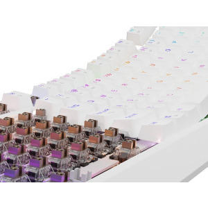 Genesis THOR 230 TKL RGB White Outemu Brown Switch Mecanica