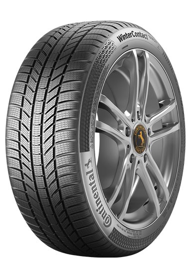 Anvelopa iarna Continental Wintercontact Ts 870 P 225/55R19 99V