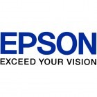 Epson Cartus T596B00 Green