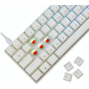 White Shark SHINOBI v2 Outemu Red Switch Mecanica White