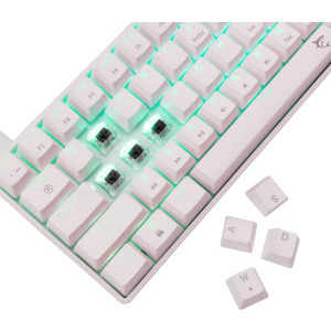 White Shark SHINOBI v2 Outemu Brown Switch Mecanica White