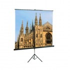 Ecran de proiectie Sopar Junior 122 inch