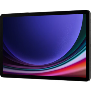 Samsung Galaxy Tab S9, 11 inch Multi-touch, Snapdragon 8 Gen 2 Octa-Core 3.36GHz, 12GB RAM, 256GB flash, Wi-Fi, Bluetooth, 5G, GPS, Android 13, Graphite
