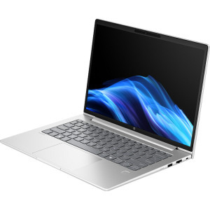 HP 14'' ProBook 4 G1i 14, WUXGA, Procesor Intel® Core™ Ultra 5 225U (12M Cache, up to 4.80 GHz), 24GB DDR5, 1TB SSD, Intel Graphics, Win 11 Pro, Silver