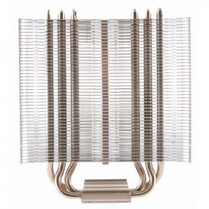 Prolimatech Basic 65