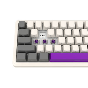 LORGAR KBP70MW Pro RGB Toxic Purple Linear Switch Beige Mecanica