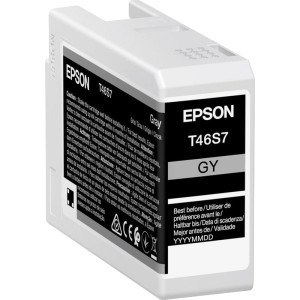 Epson Cartus T46S7 Grey