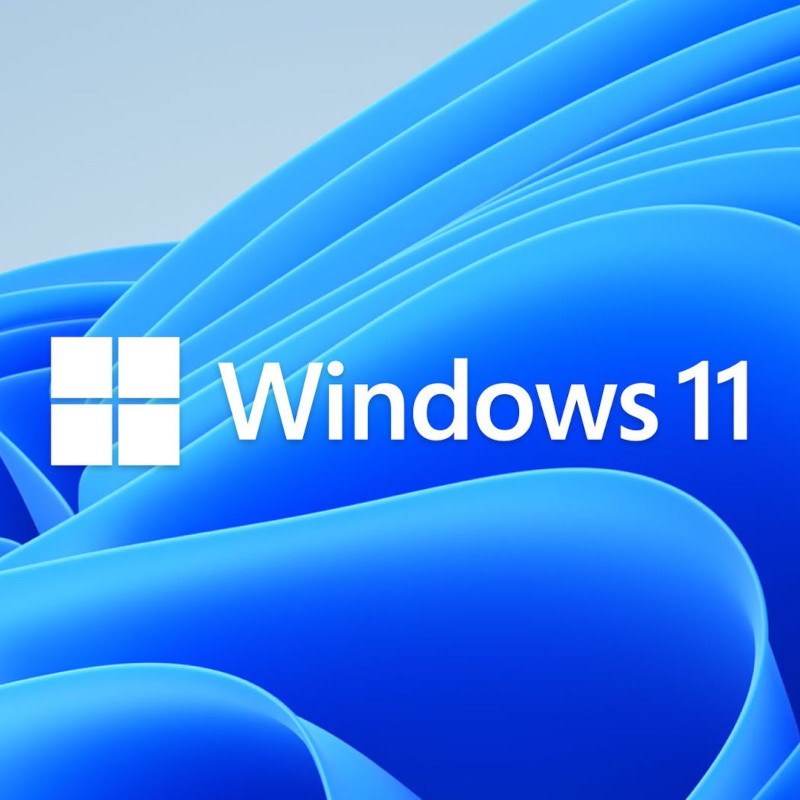 Sistem de operare Microsoft Windows 11 Home, DSP OEI, 64-bit, Engleza, DVD