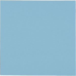 Thermal Grizzly Minus Pad Pro 100x100x1mm