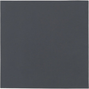 Thermal Grizzly Minus Pad Pro 100x100x1.5mm