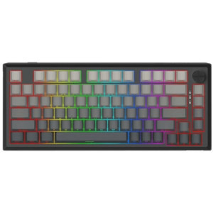 Redragon Penumbra Pro RGB TKL Black Lion L Switch Mecanica