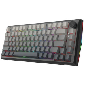 Redragon Penumbra Pro RGB TKL Black Lion L Switch Mecanica