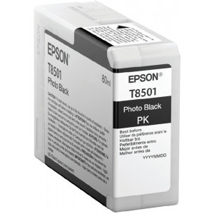 Epson Cartus T850100 Photo Black