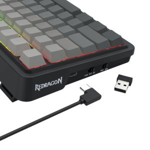 Redragon Eisa Pro Neagra RGB Switch-uri Leopard L  Mecanica