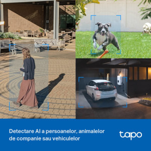TP-LINK Tapo C520WS