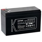 Accesoriu UPS Kstar Battery 6-FM-9
