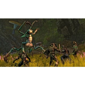 Bethesda The Elder Scrolls Online pentru PC