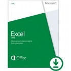 Microsoft Licenta Electronica Excel 2013, All languages, FPP