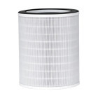 AENO Filtru Carbon activ AAP0001S, compatibil cu AP1S
