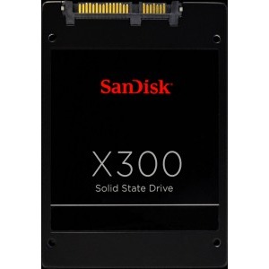 WD SanDisk X300 Series 256GB SATA-III 2.5 inch