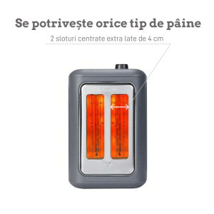 Buydeem Gri, Prajitor de paine DT730E-IG/EU