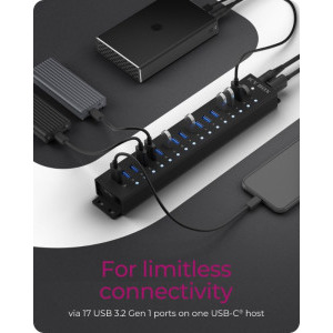 Icy Box IB-HUB1717-U3 17-port USB 3.2 Gen 1 Hub Black