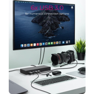 Icy Box Docking Station IB-DK2245AC, USB-C, 65W Power Delivery, 2x DisplayPort, 2x HDMI, 4x USB 3.2, Gigabit LAN