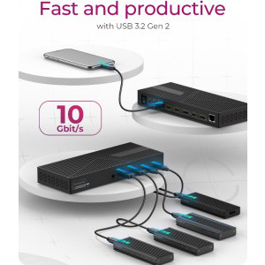 Icy Box Docking Station IB-DK2246AC, 100W Power Delivery, 3x 4K, Gigabit LAN